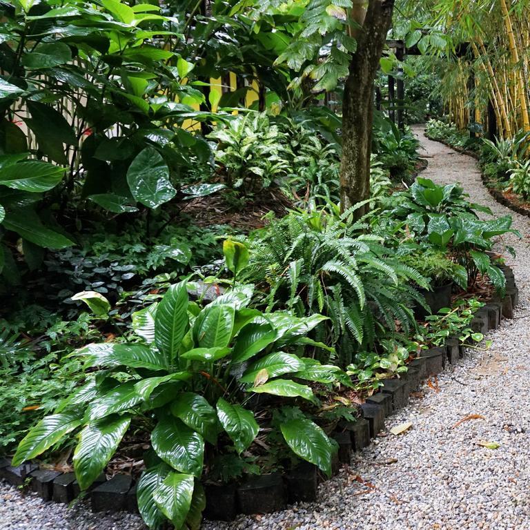 Jacana Amazon Wellness Resort Paramaribo Eksteriør billede