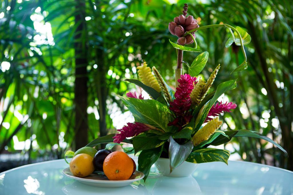 Jacana Amazon Wellness Resort Paramaribo Eksteriør billede